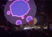 nativegarden meets psylight berlin